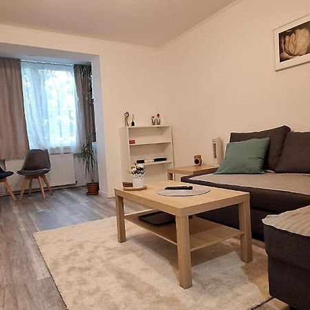 Enci House Apartment Târgu-Mureş Eksteriør billede
